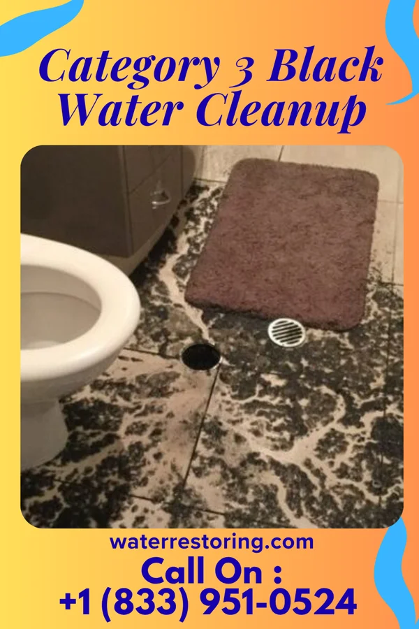 Category 3 Black Water Cleanup in Sabinal, TX