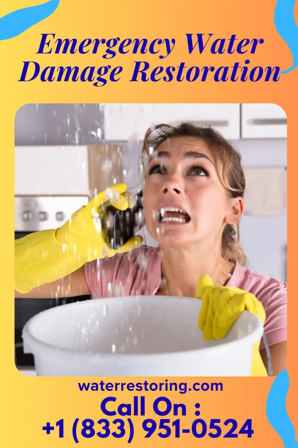 Emergency Water Damage Restoration in Sabinal, TX