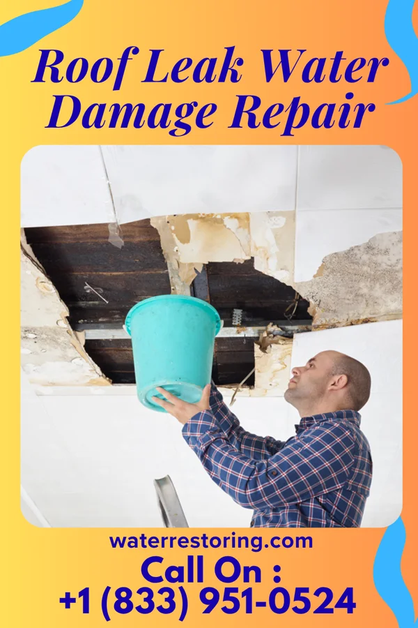Roof Leak Water Damage Repair in Sabinal, TX